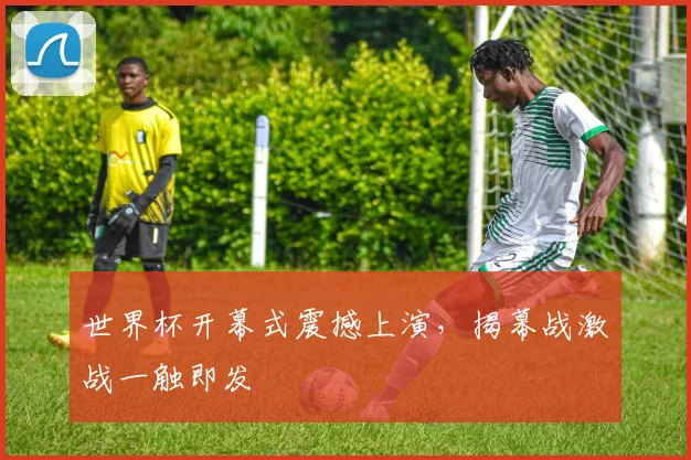 世界杯开幕式震撼上演，揭幕战激战一触即发