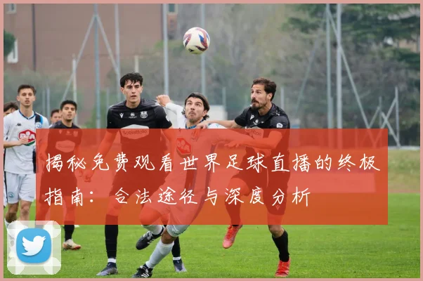 揭秘免费观看世界足球直播的终极指南：合法途径与深度分析